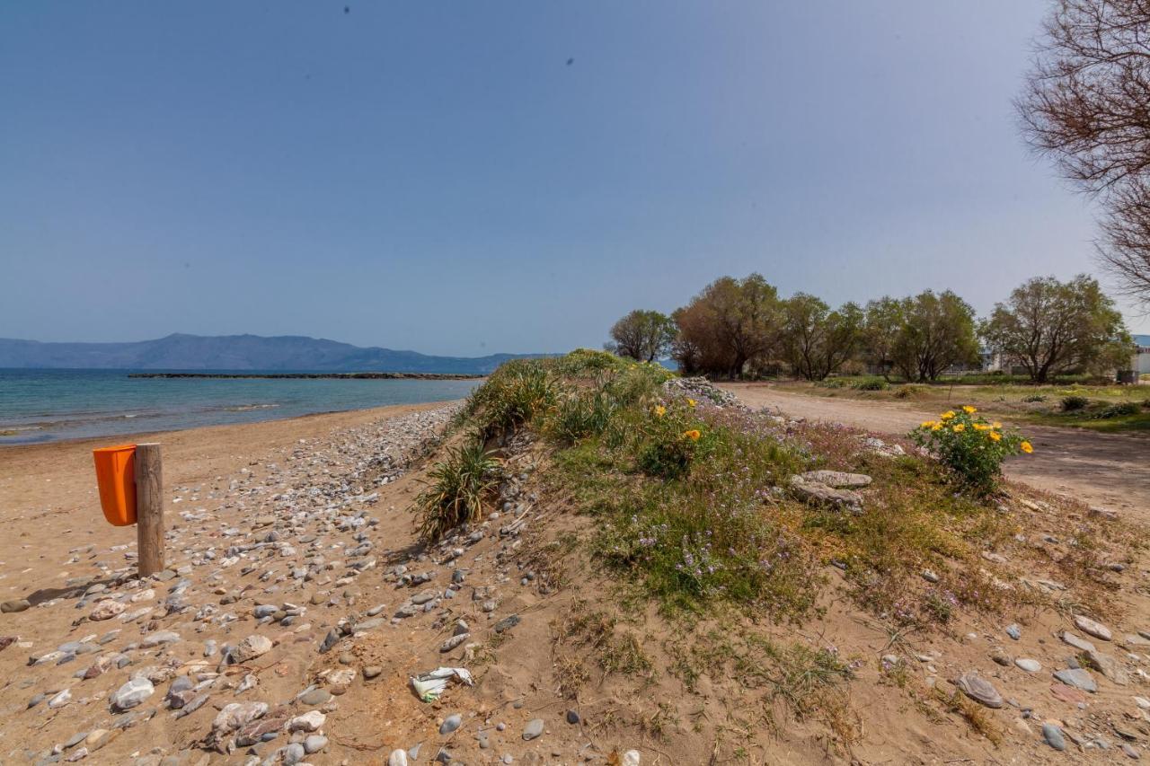 Kissamos Sea View Beach Apartments Εξωτερικό φωτογραφία